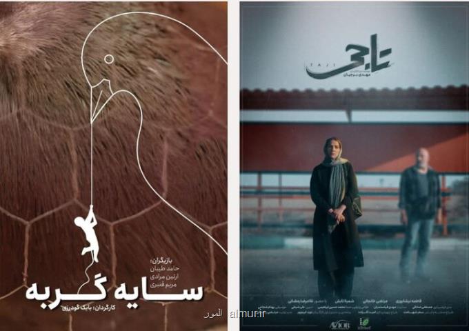 فیلم کوتاه تاجی و سایه گربه آماده نمایش شدند